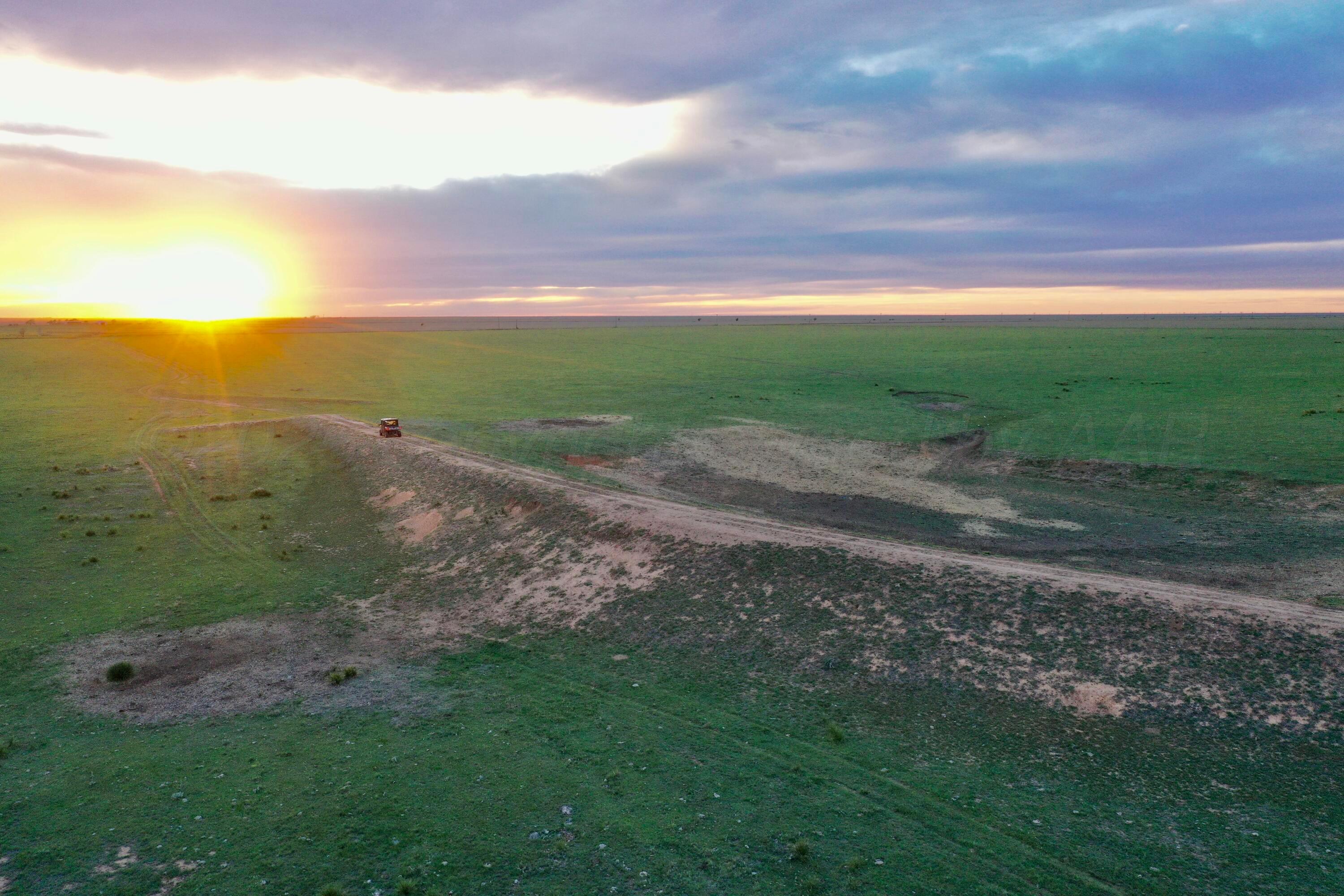 6675 Highway 86 Tulia, TX 79088 - Photo 49 of 68 a view of a yard with an ocean