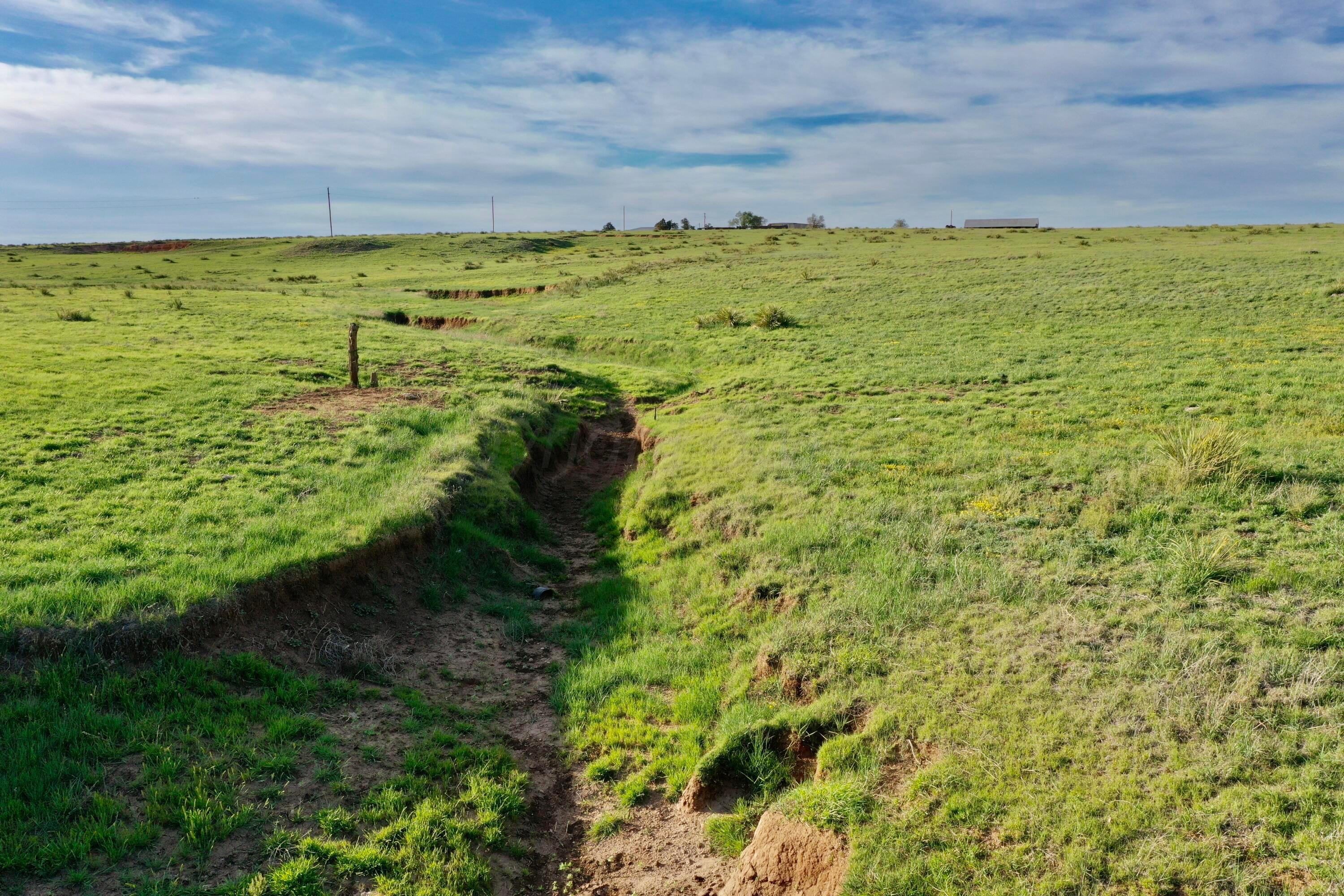 6675 Highway 86 Tulia, TX 79088 - Photo 5 of 68 a view of an outdoor space