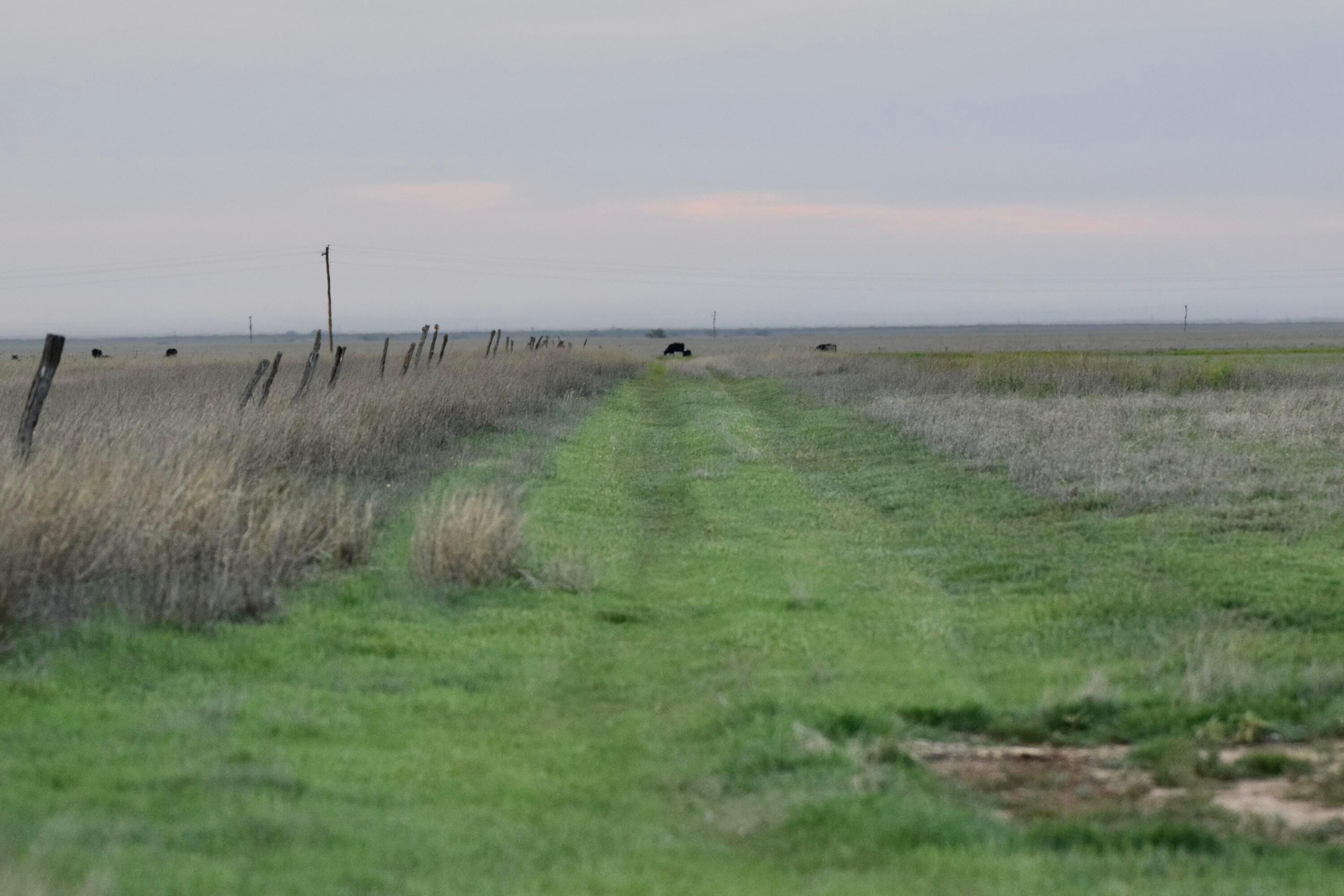 6675 Highway 86 Tulia, TX 79088 - Photo 54 of 68 a view of a field with an outdoor space