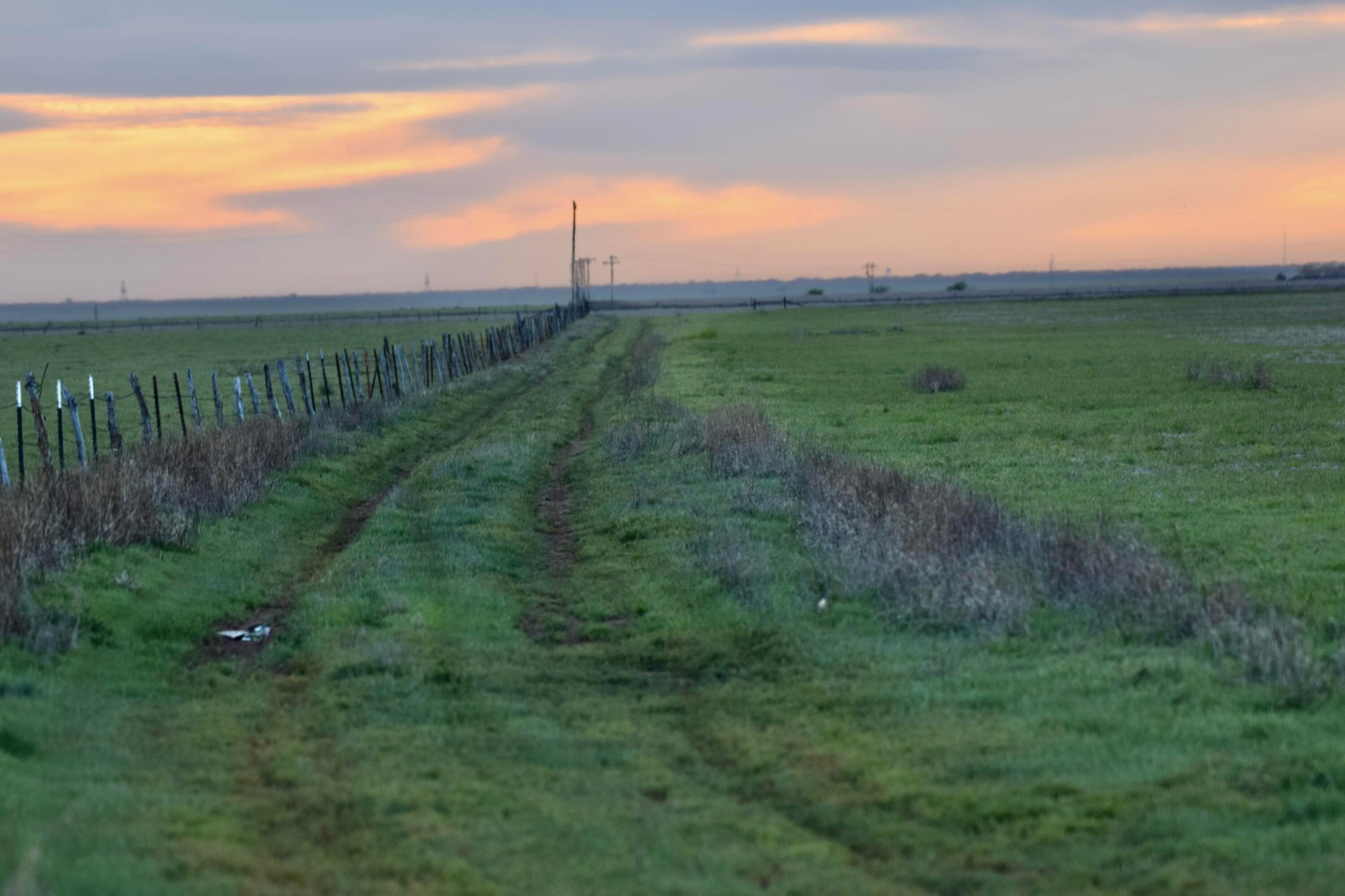 6675 Highway 86 Tulia, TX 79088 - Photo 55 of 68 a view of a city with lush green forest