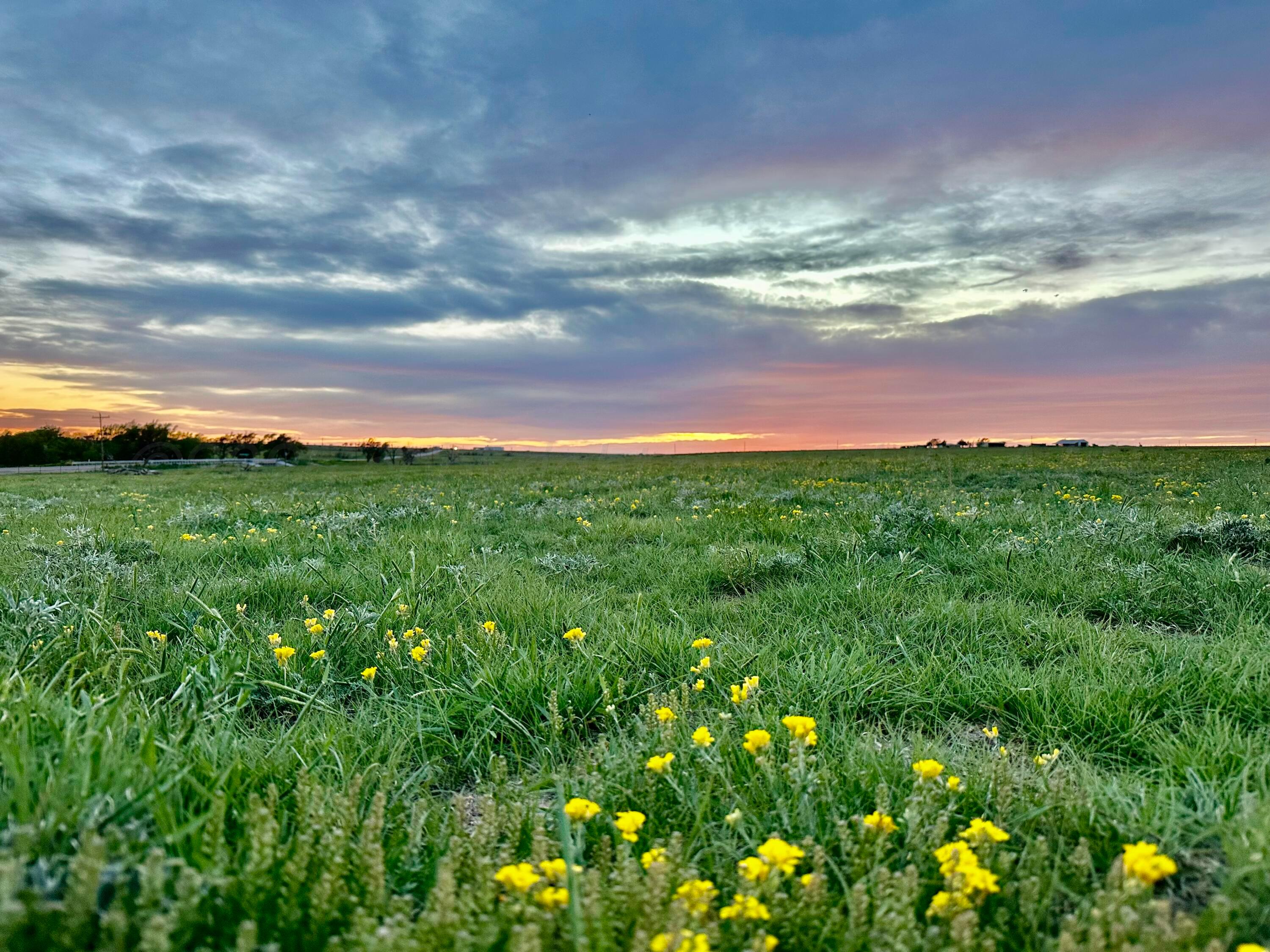 6675 Highway 86 Tulia, TX 79088 - Photo 68 of 68 IMG_4436