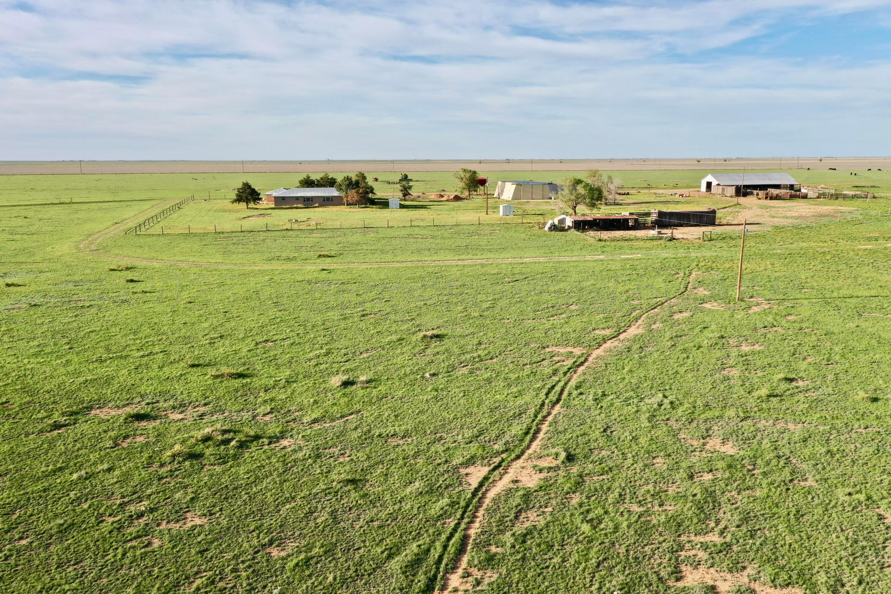 6675 Highway 86 Tulia, TX 79088 - Photo 7 of 68 a view of an ocean