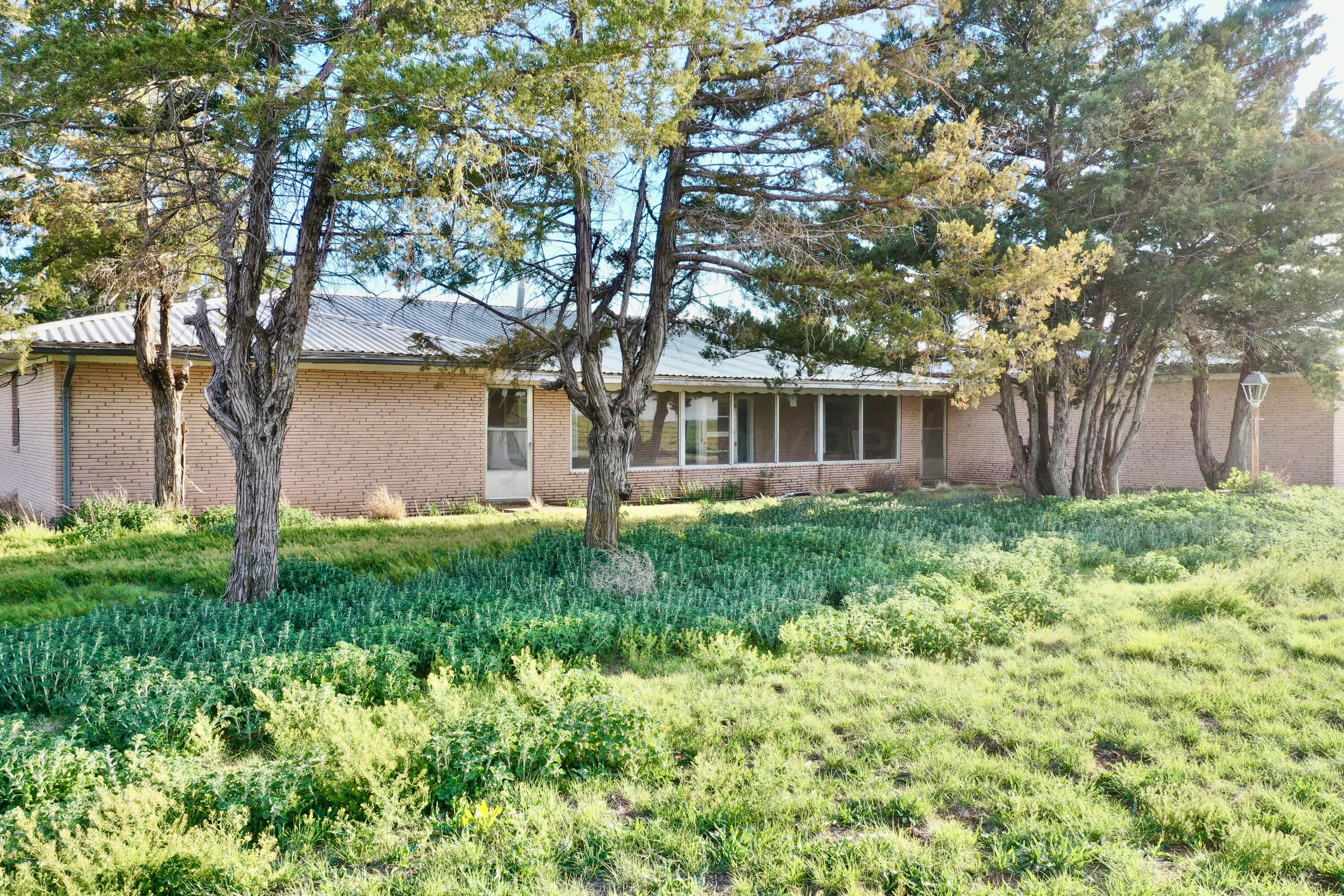 6675 Highway 86 Tulia, TX 79088 - Photo 9 of 68 front view of a house with a yard