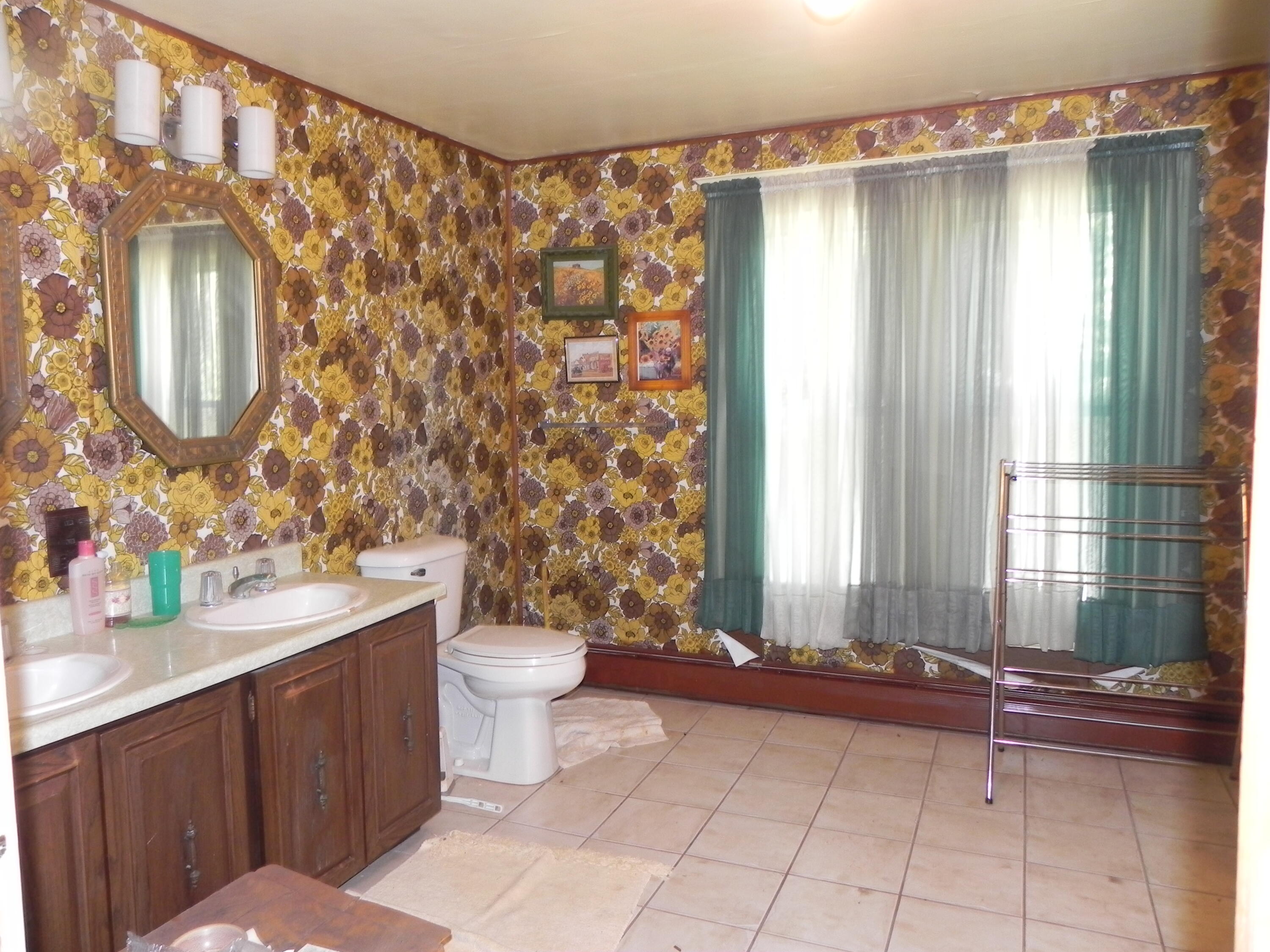 202 West Delaware Street Decatur, MI 49045 - Photo 14 of 20 DSCN8284