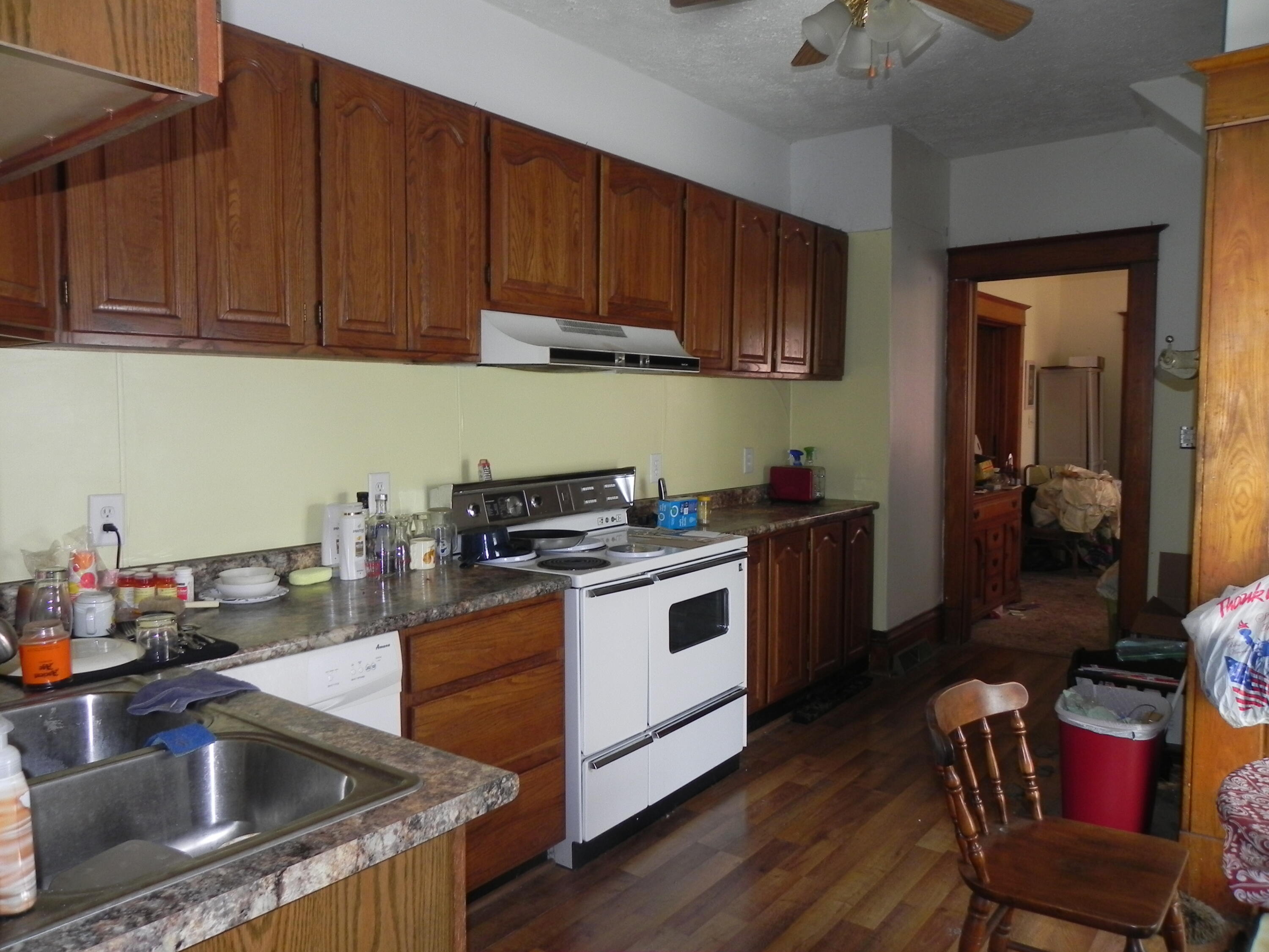 202 West Delaware Street Decatur, MI 49045 - Photo 10 of 20 DSCN8300