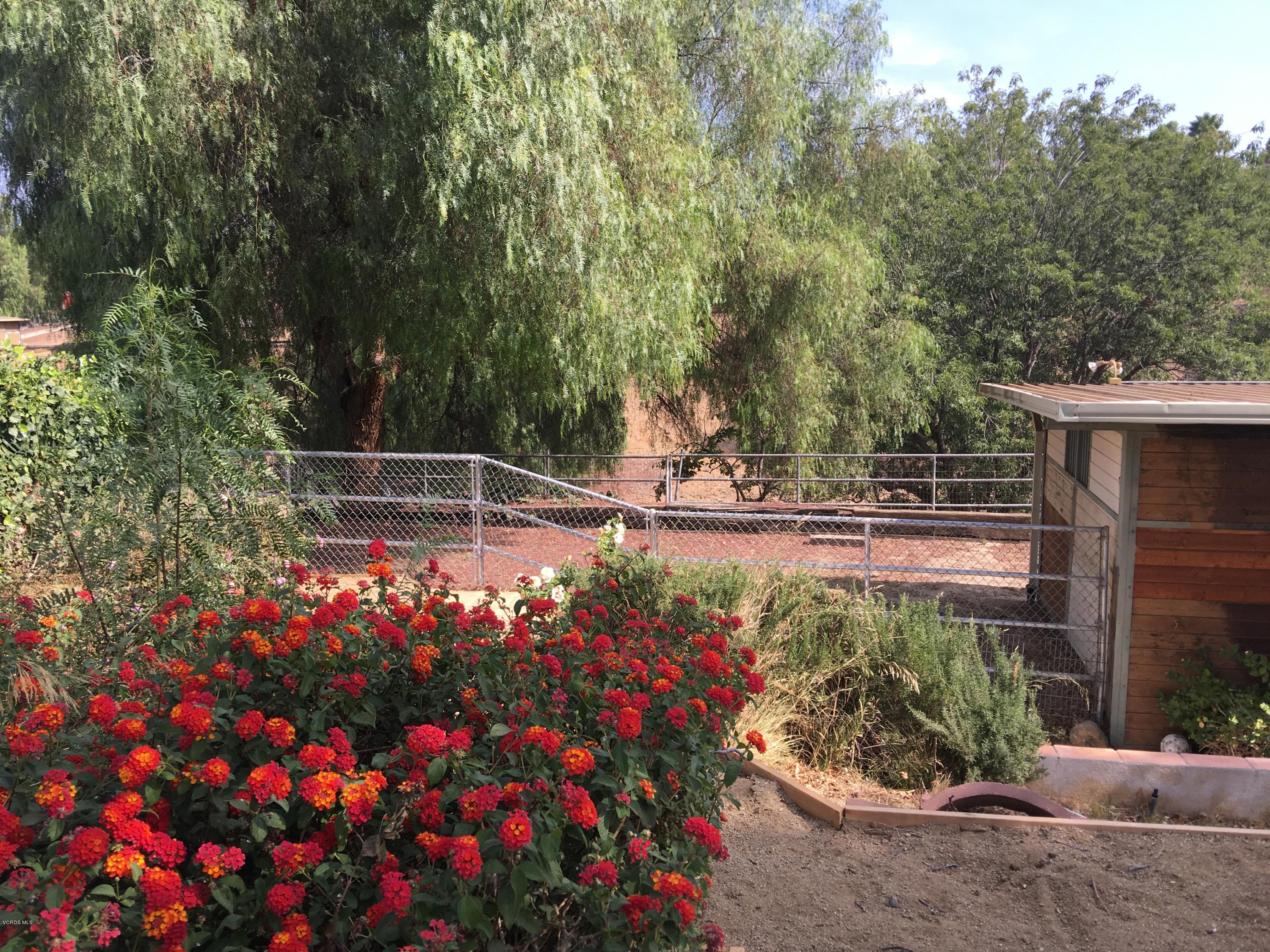 718 Tranquil Lane Simi Valley, CA 93065 - Photo 49 of 68 IMG_3187