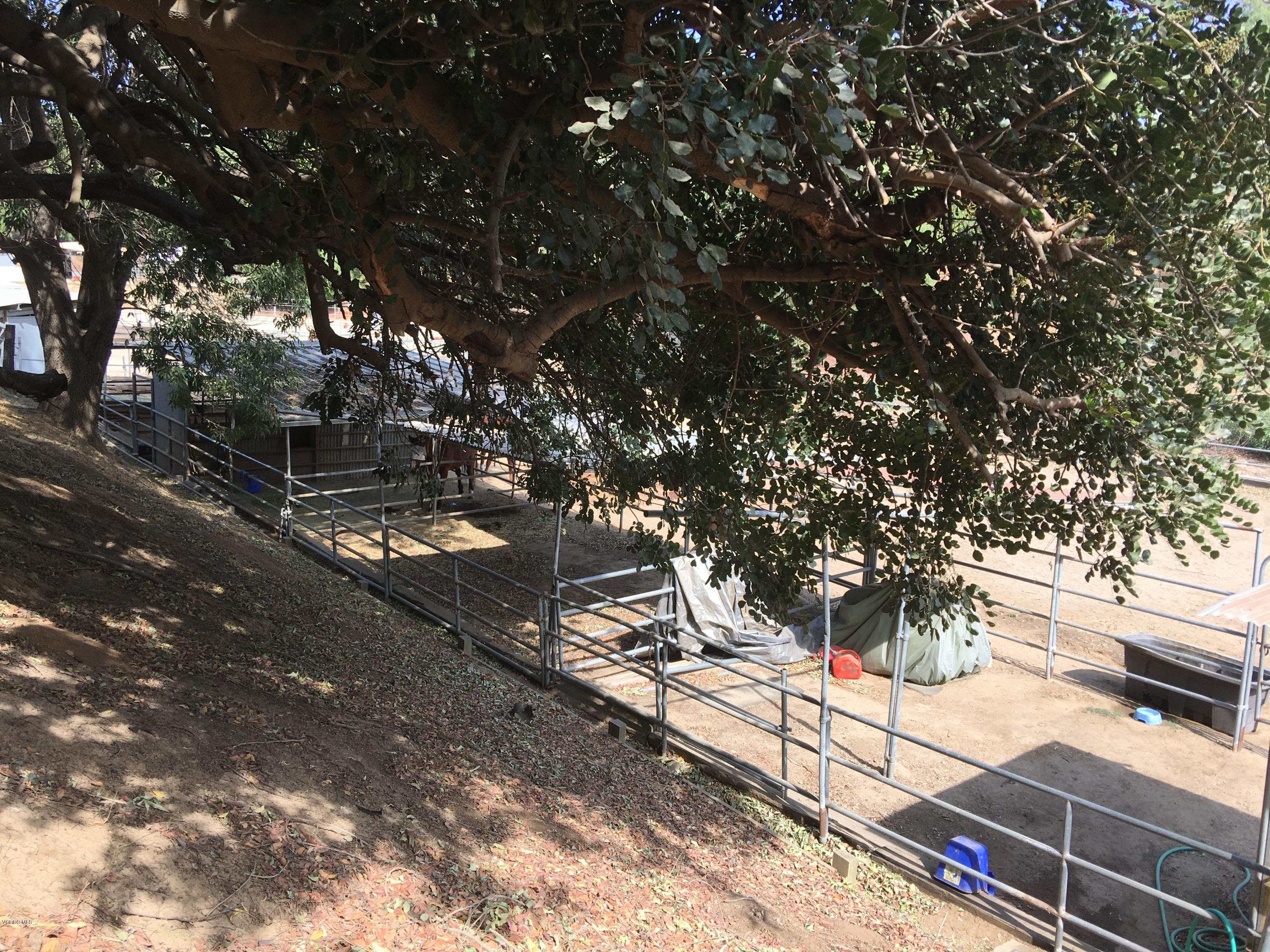 718 Tranquil Lane Simi Valley, CA 93065 - Photo 61 of 68 IMG_3210