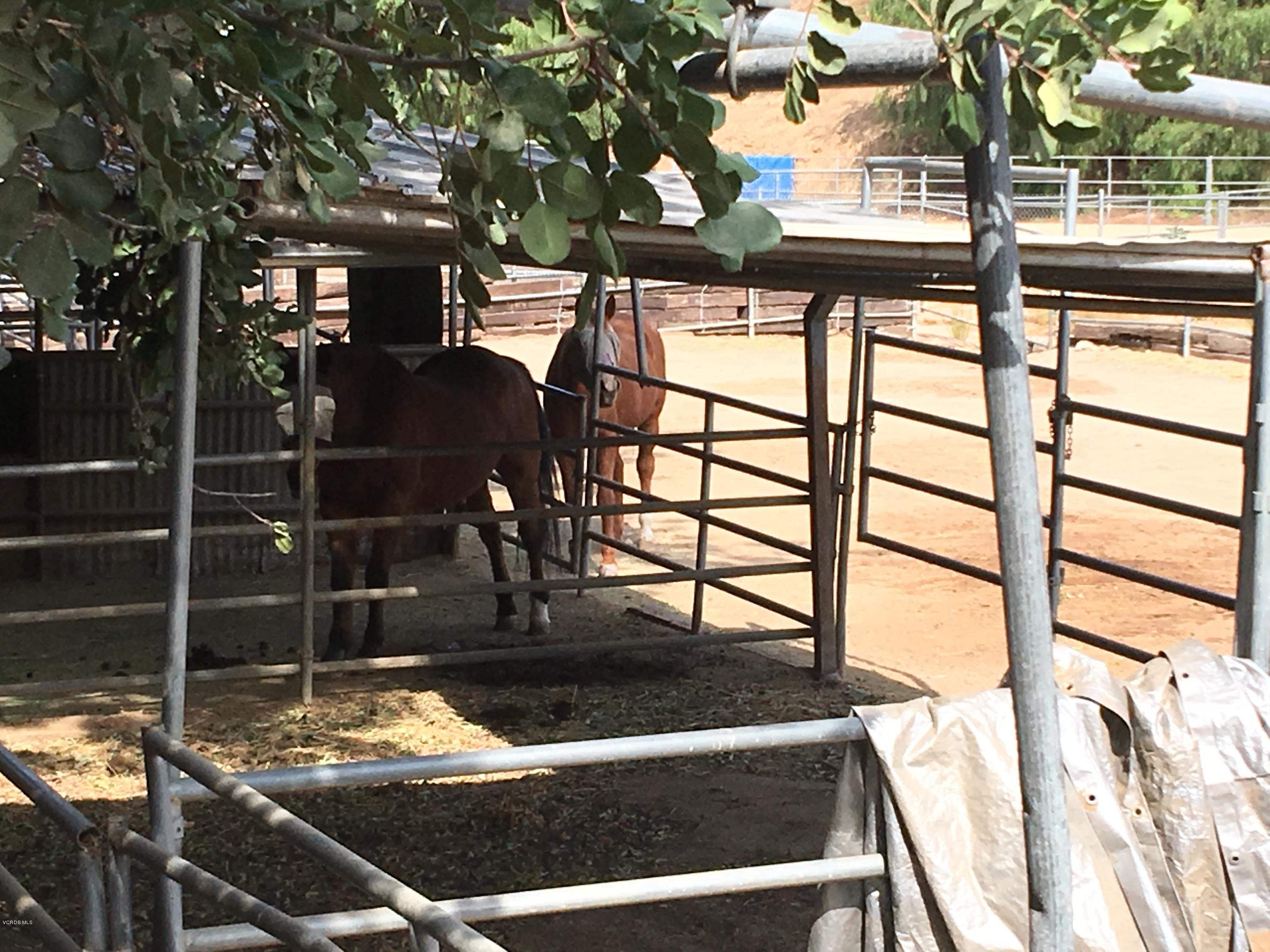 718 Tranquil Lane Simi Valley, CA 93065 - Photo 67 of 68 IMG_3208