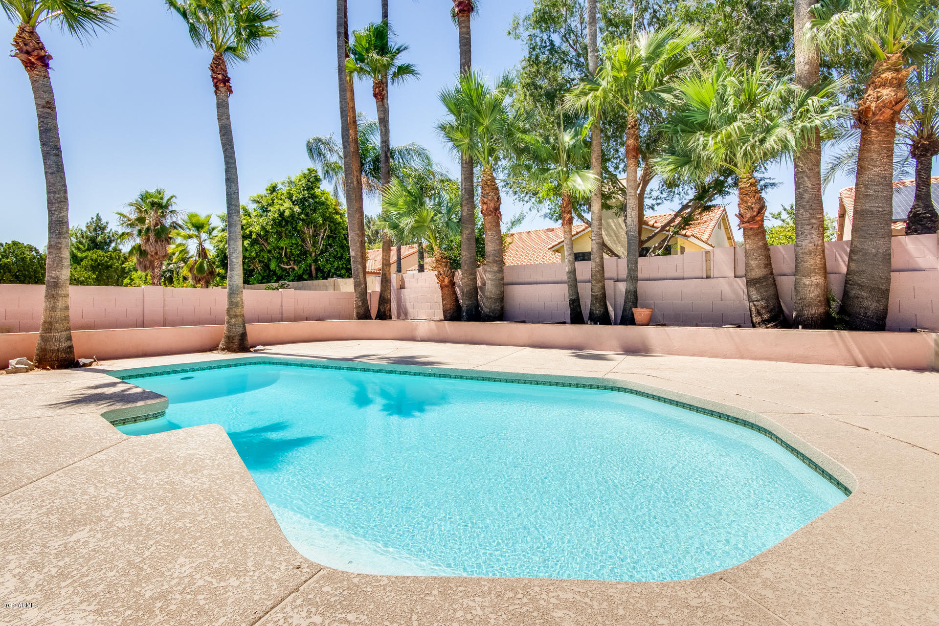 4710 East Redfield Road Phoenix, AZ 85032 - Photo 33 of 38 Pool