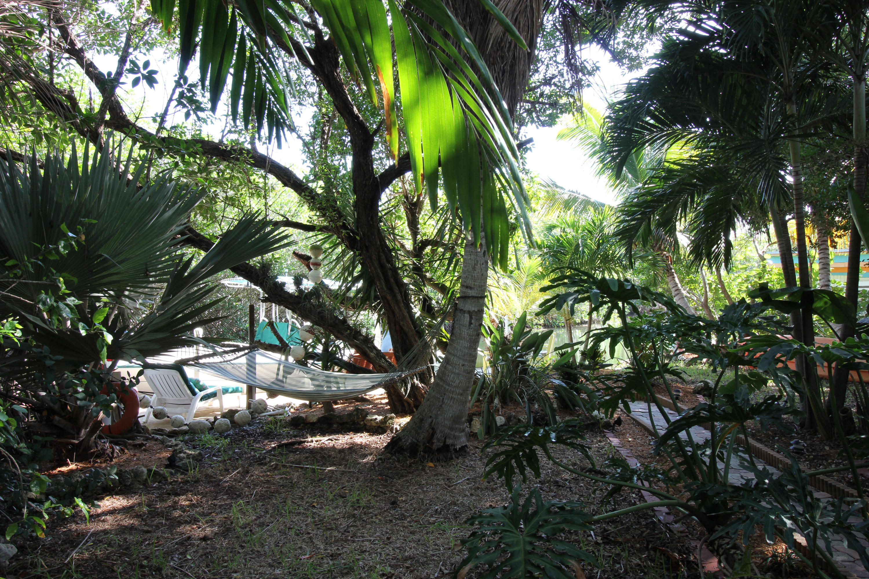 1175 Warner Road Summerland Key, FL 33042 - Photo 9 of 35 hammock