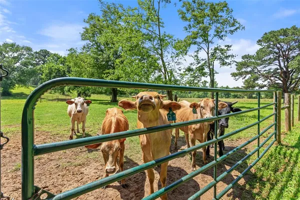 $1,345,000 | 19678 County Road 4125, Lindale, TX 75771