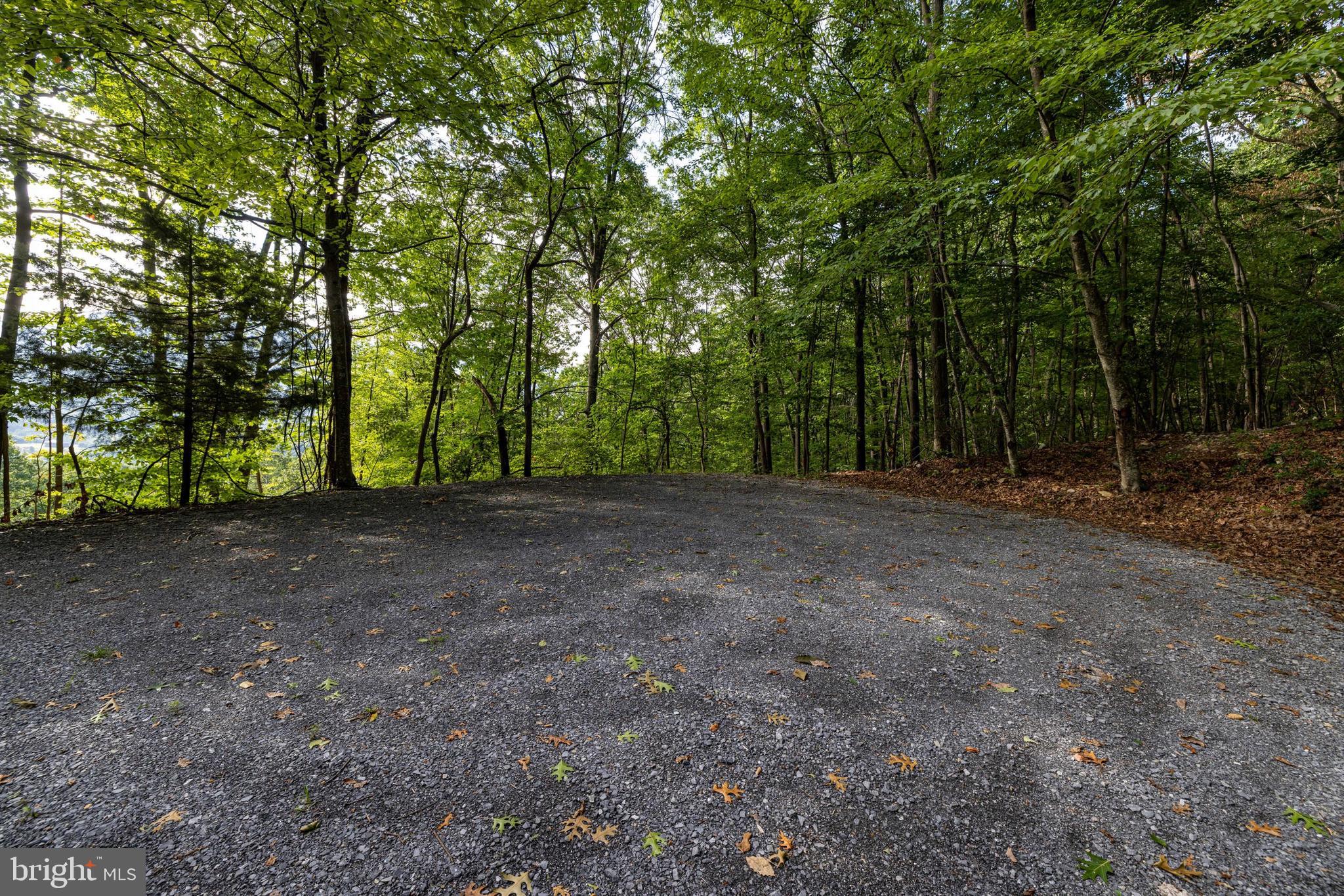 Lot B54 Roundhead Mountain Road Stanley, VA 22851 - Photo 14 of 43 Gallery Image 14