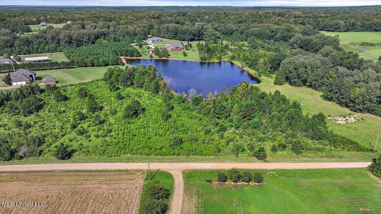 0 South S Highway Terry, MS 39170 - Photo 19 of 32 12-0 S Highway 55