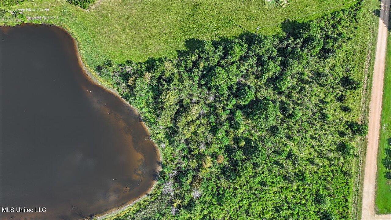0 South S Highway Terry, MS 39170 - Photo 3 of 32 29-0 S Highway 55