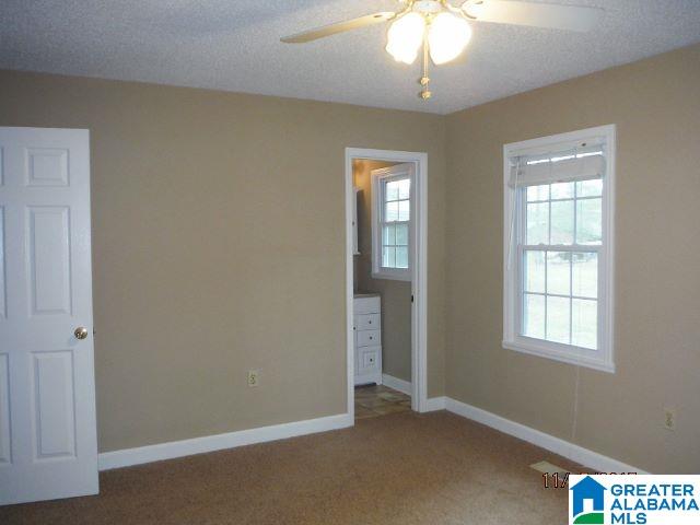 1535 Ray Wyatt Road Ashville, AL 35953 - Photo 21 of 29
