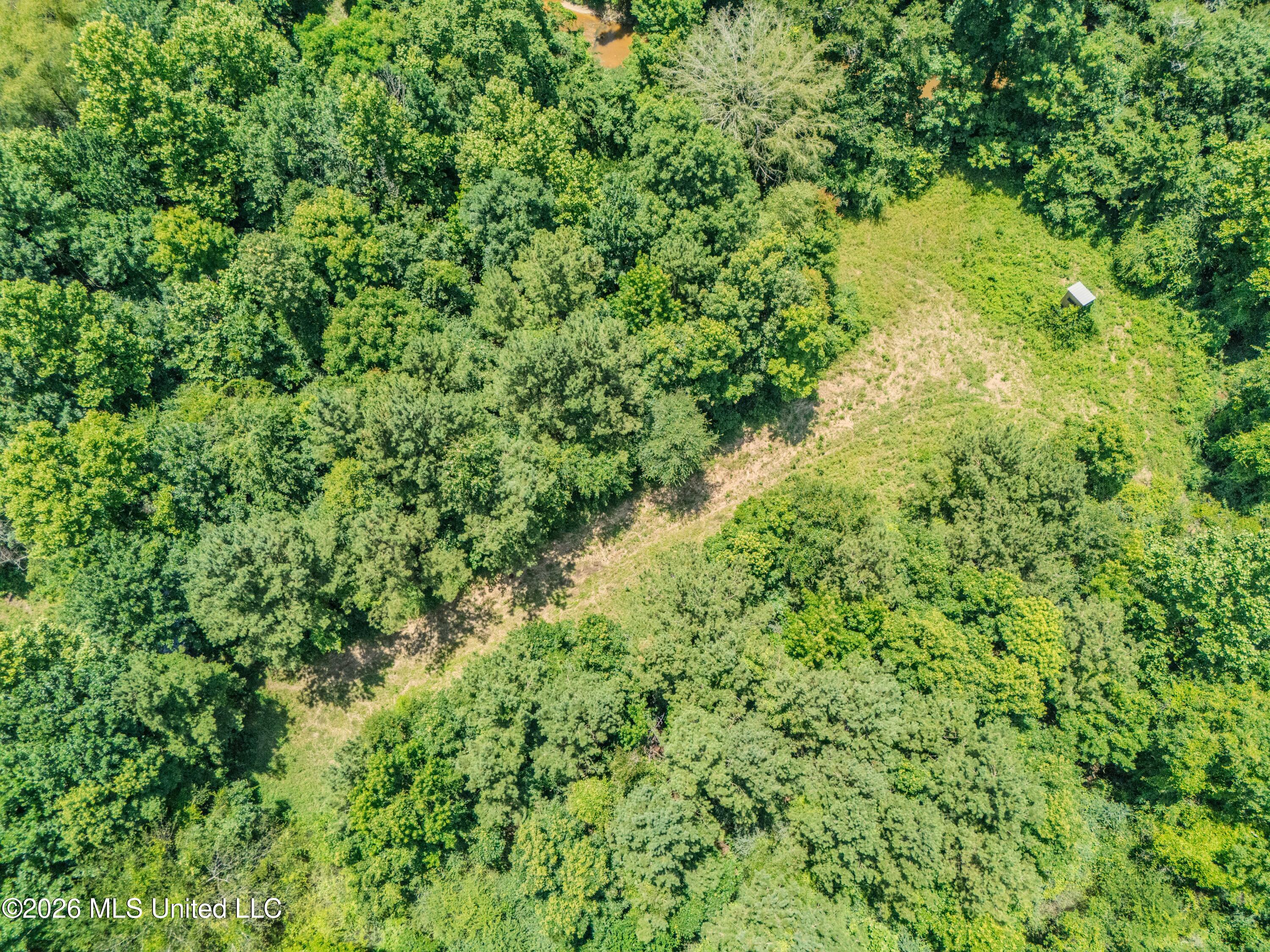 23 Co Road Bay Springs, MS 39422 - Photo 51 of 64 DJI_20260611123558_0022_D