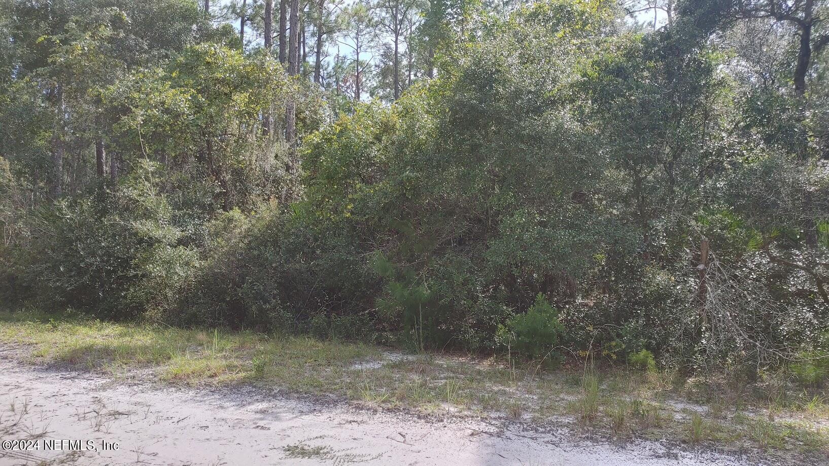 209 Ocala Court Georgetown, FL 32139 - Photo 3 of 7 a view of a yard