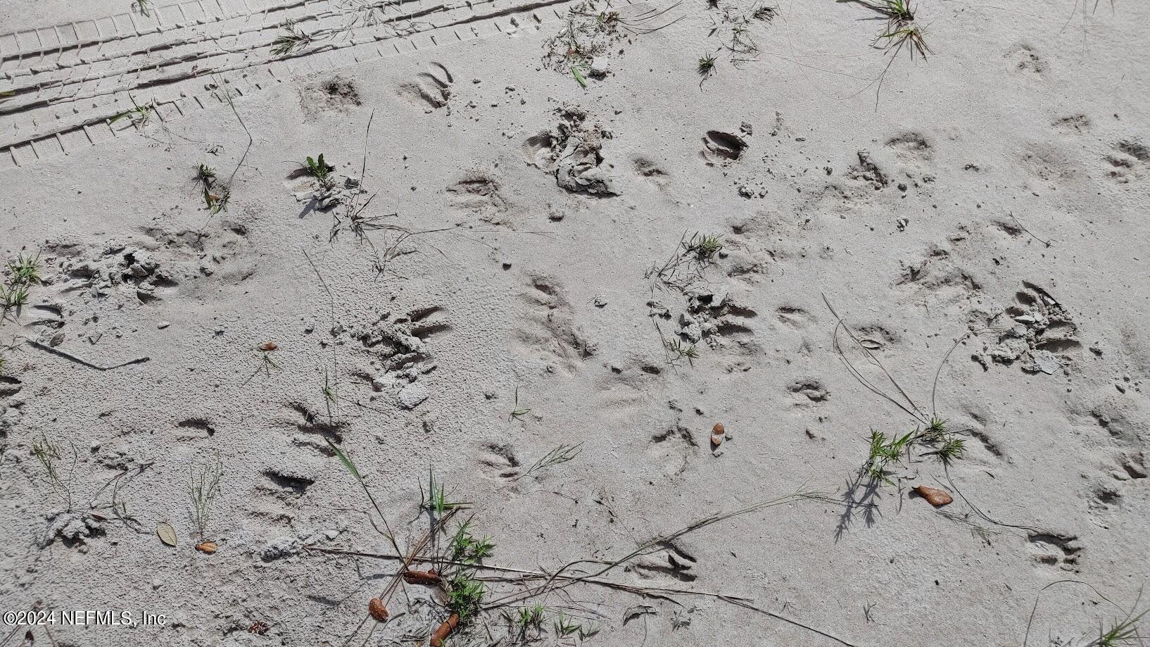 209 Ocala Court Georgetown, FL 32139 - Photo 5 of 7 a bathroom with a bathtub and shower