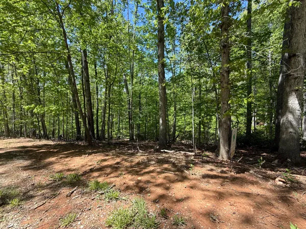 $11,500 | 0 Cedar Bluff Lane, Hardy, VA 24101
