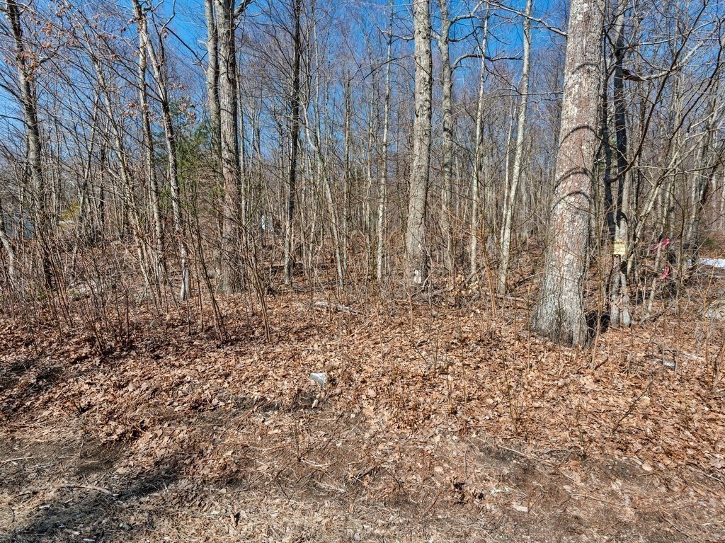 152 Stafford Road Wales, MA 01081 - Photo 17 of 20 Gallery Image 17