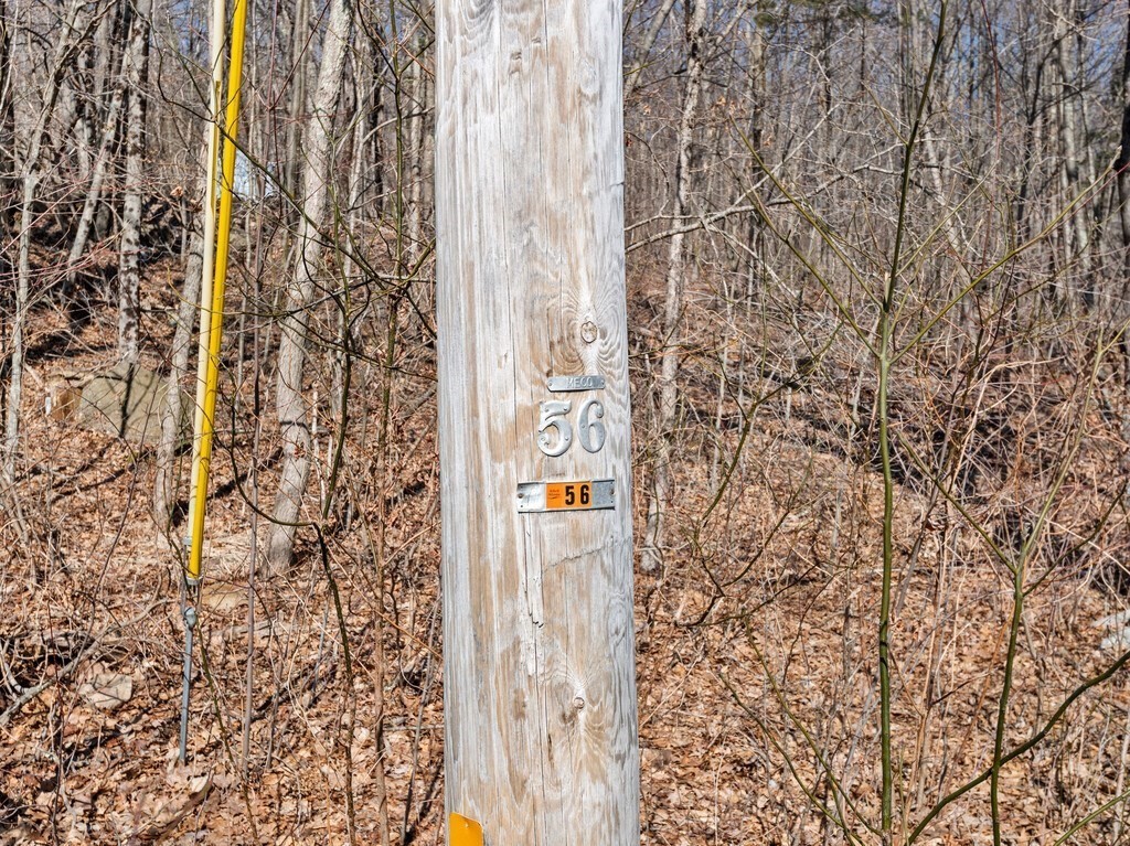 152 Stafford Road Wales, MA 01081 - Photo 3 of 20 Gallery Image 3