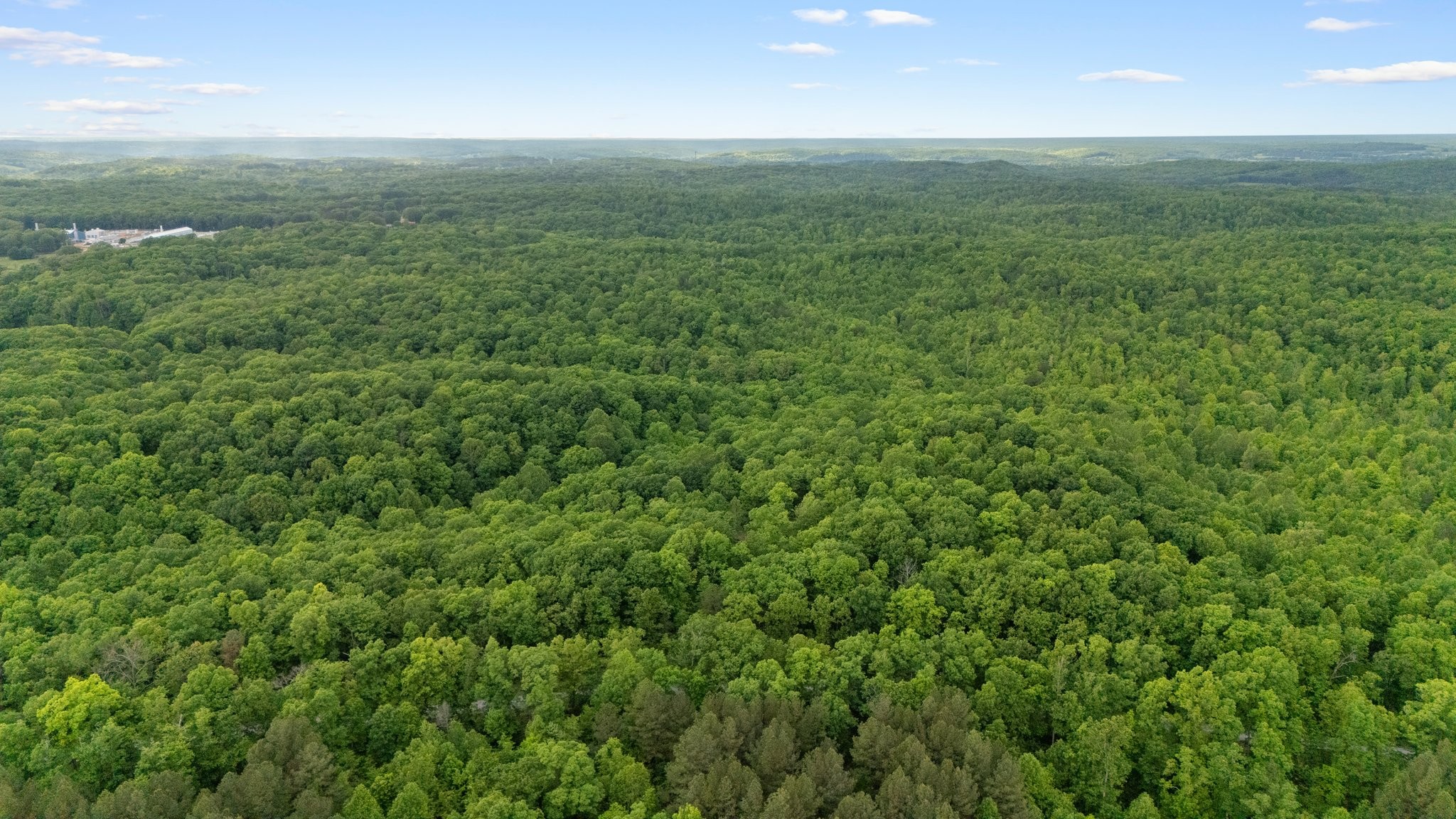 0 Bell Branch Road Nunnelly, TN 37137 - Photo 12 of 45 Gallery Image 12