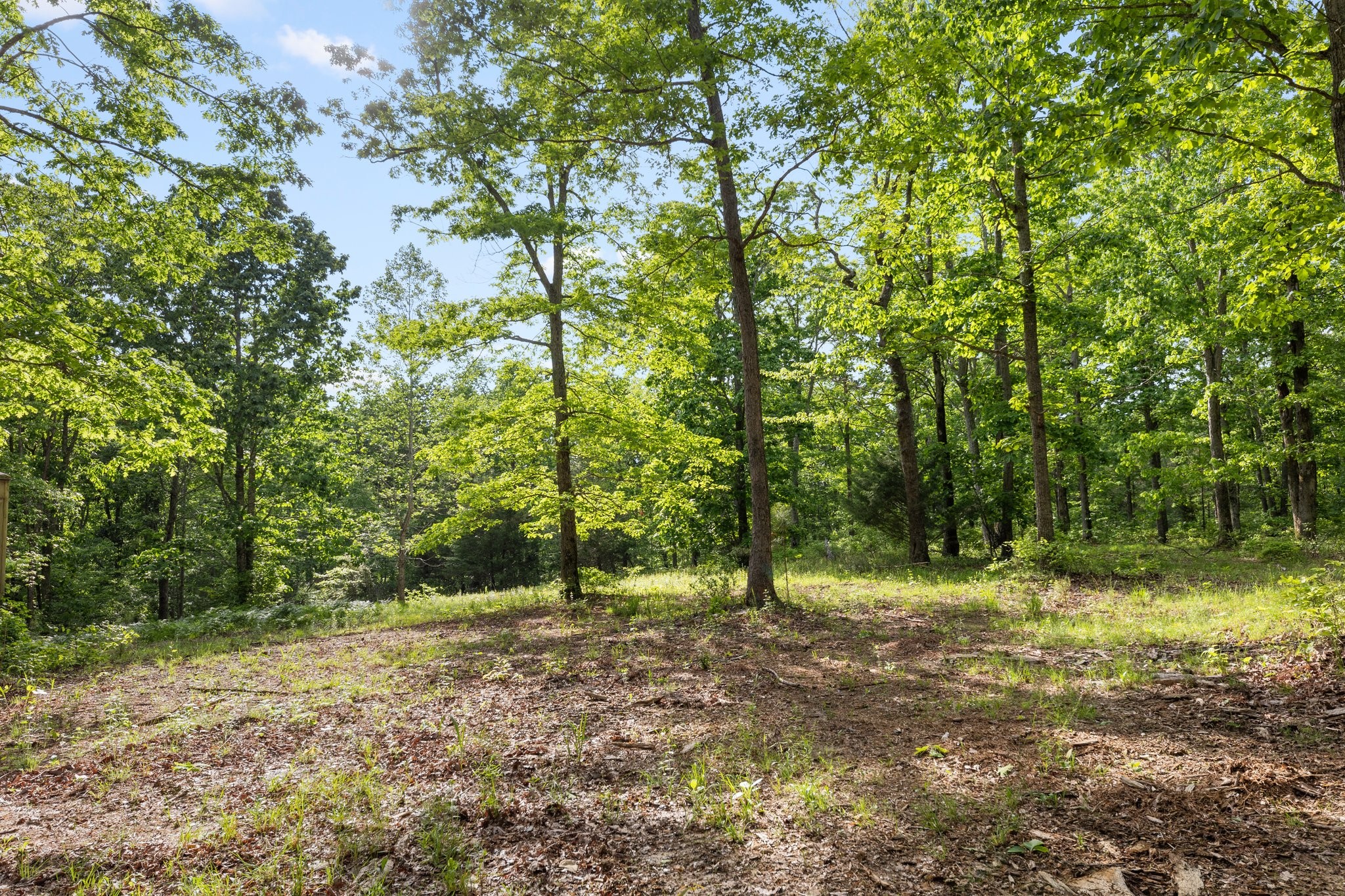 0 Bell Branch Road Nunnelly, TN 37137 - Photo 2 of 45 Gallery Image 2