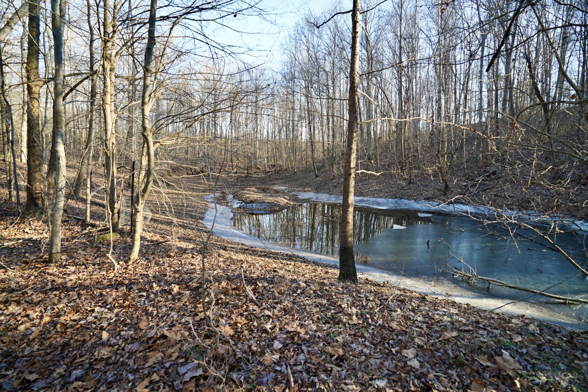 0 Bell Branch Road Nunnelly, TN 37137 - Photo 28 of 45 Gallery Image 28