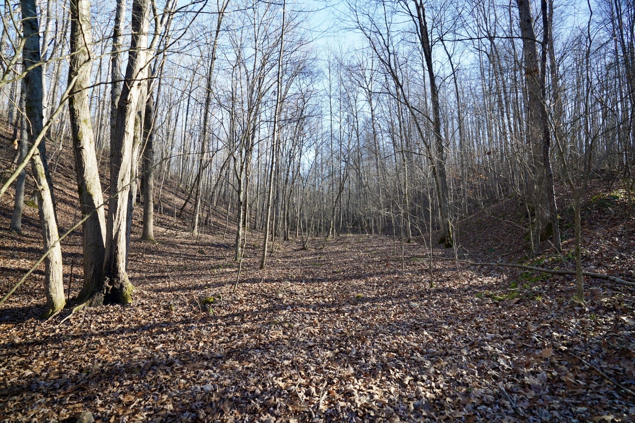 0 Bell Branch Road Nunnelly, TN 37137 - Photo 32 of 45 Gallery Image 32