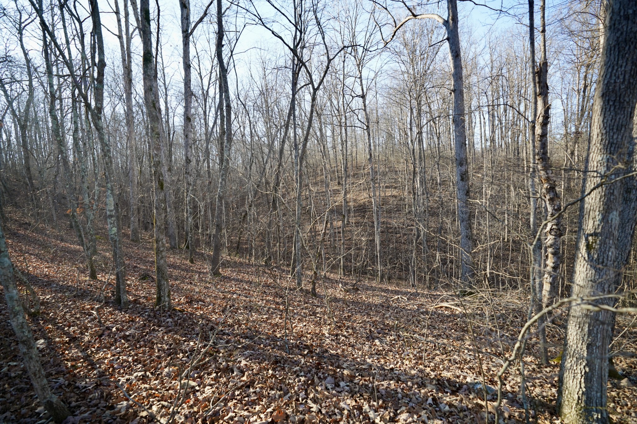 0 Bell Branch Road Nunnelly, TN 37137 - Photo 36 of 45 Gallery Image 36