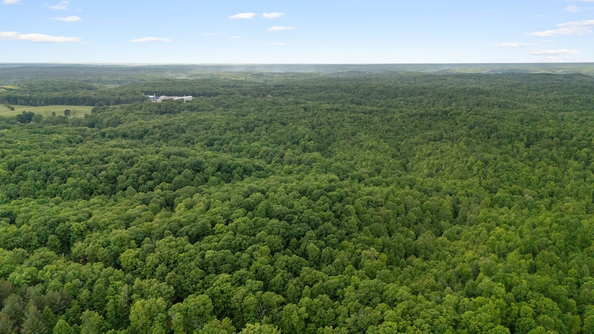 0 Bell Branch Road Nunnelly, TN 37137 - Photo 45 of 45 Gallery Image 45