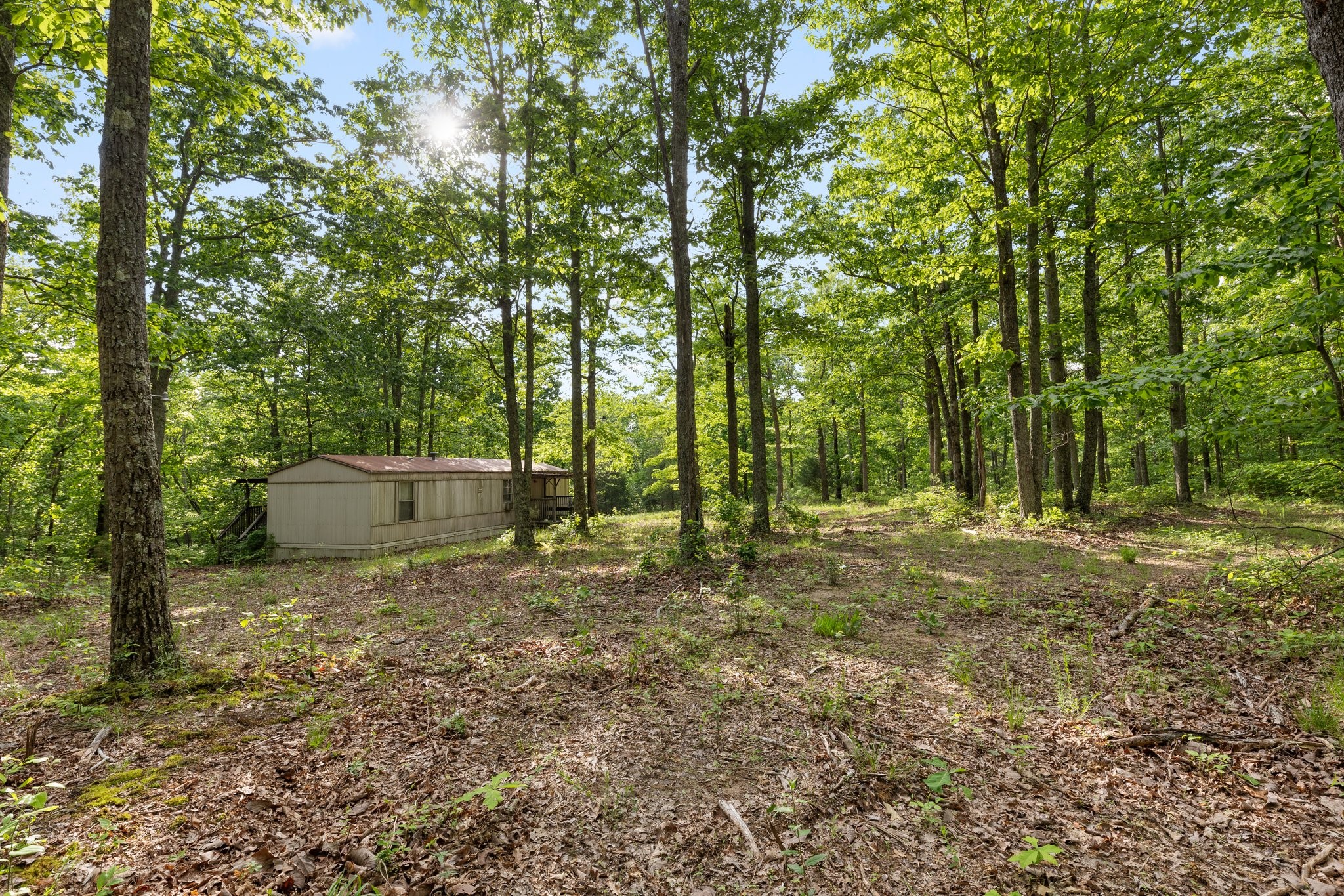 0 Bell Branch Road Nunnelly, TN 37137 - Photo 7 of 45 Gallery Image 7