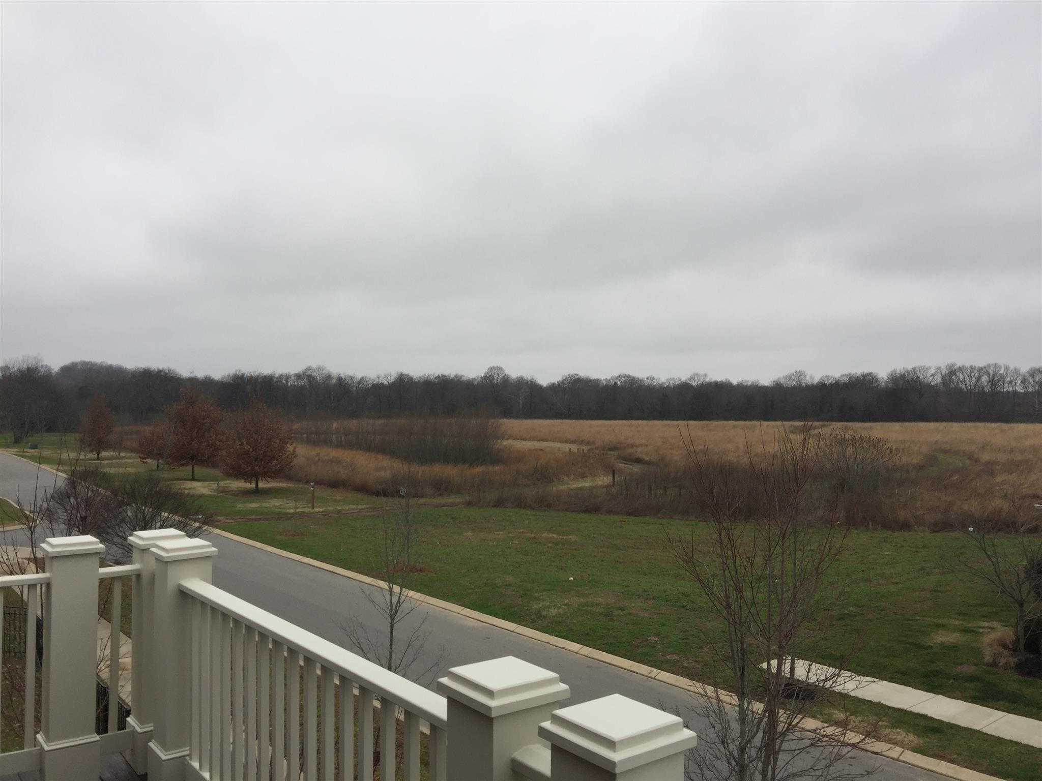 483 Avon River Road Franklin, TN 37064 - Photo 10 of 18 Gallery Image 10