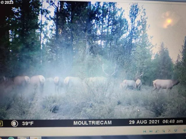 $175,000 | 0 Nextto 1000 Primrose Ln Crescent, Crescent, OR 97733