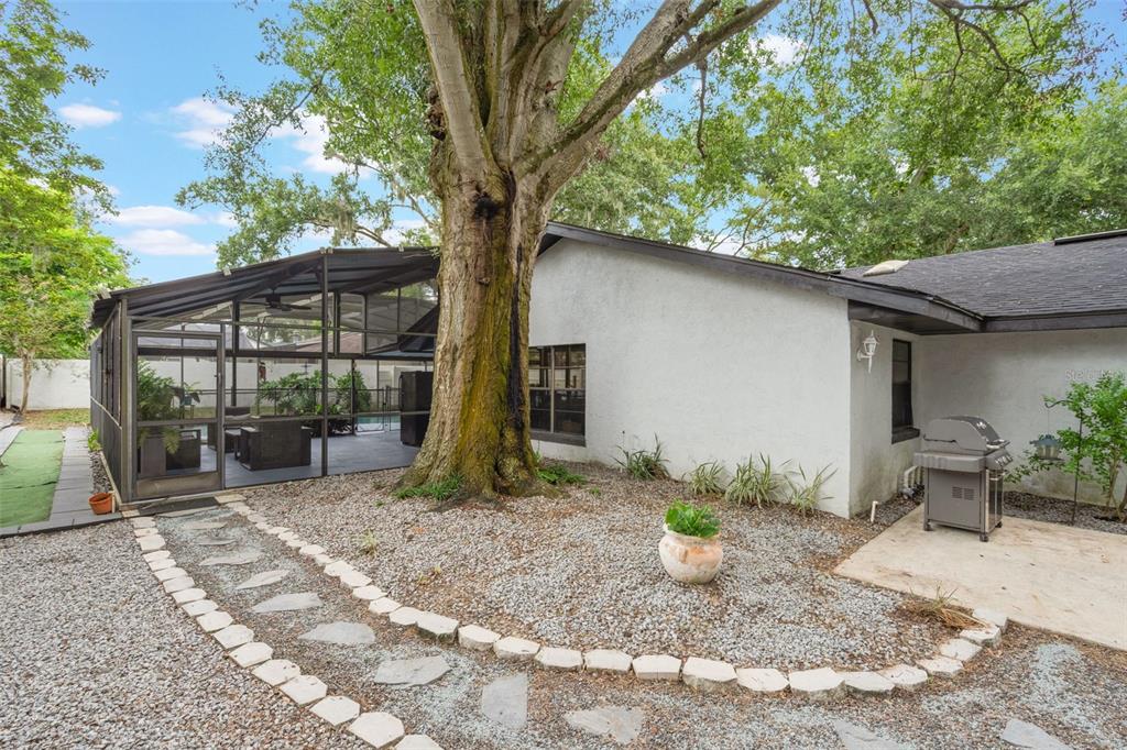1760 12th Street Clermont, FL 34711 - Photo 41 of 42 a backyard of a house with potted plants and large tree