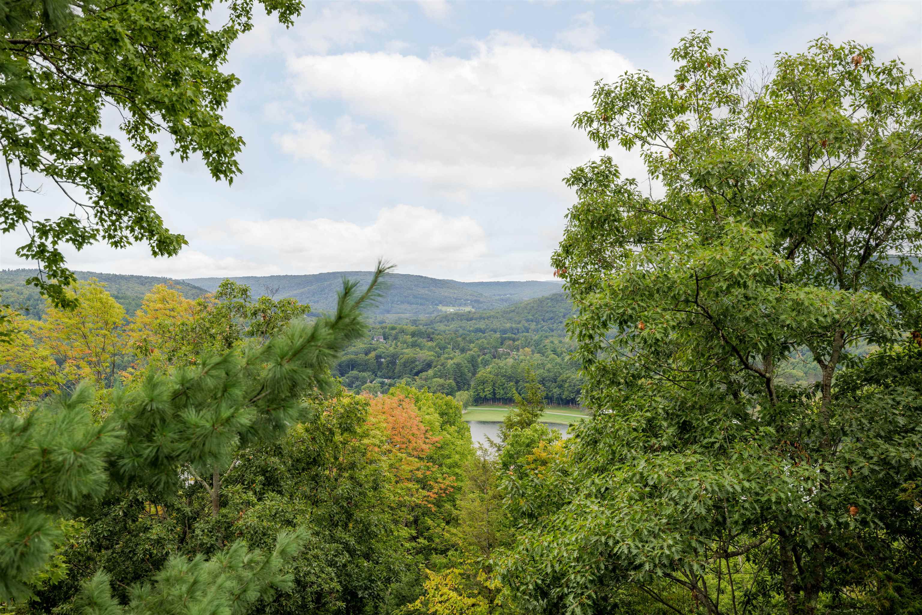 443 Alden Partridge Road, Unit 3D Hartford, VT 05059 - Photo 41 of 41 Gallery Image 41