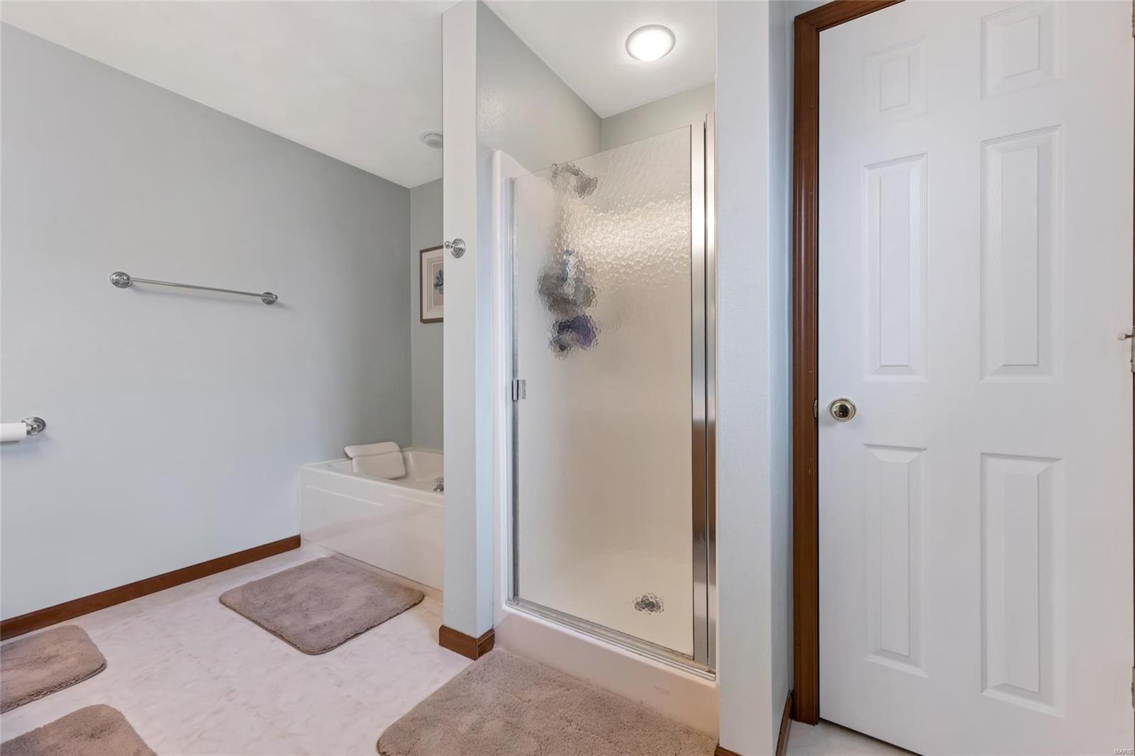1419 Rachael Lane Waterloo, IL 62298 - Photo 17 of 39