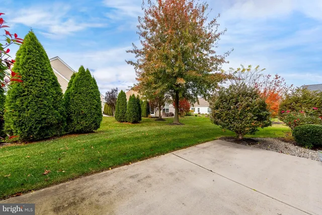 a view of a park with plants and trees