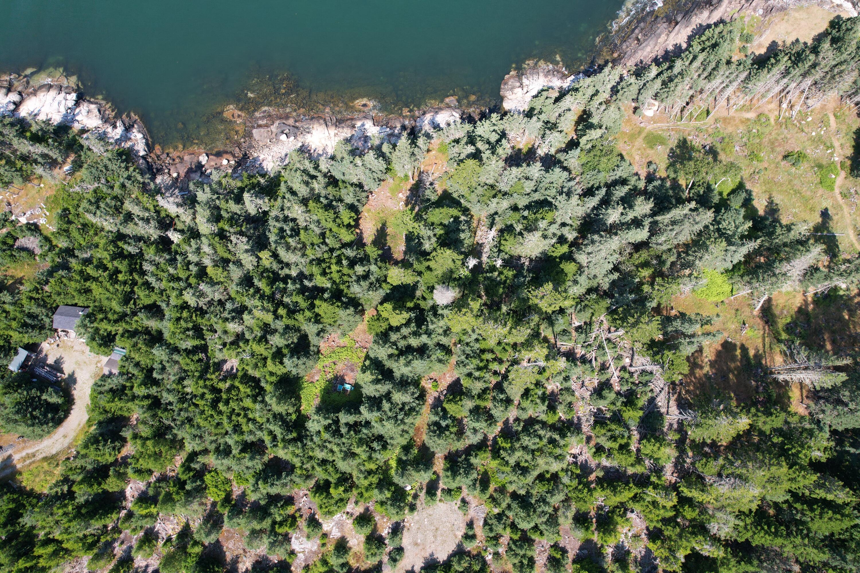 Lot 9 Jericho Bay Road Swans Island, ME 04685 - Photo 7 of 10 overhead