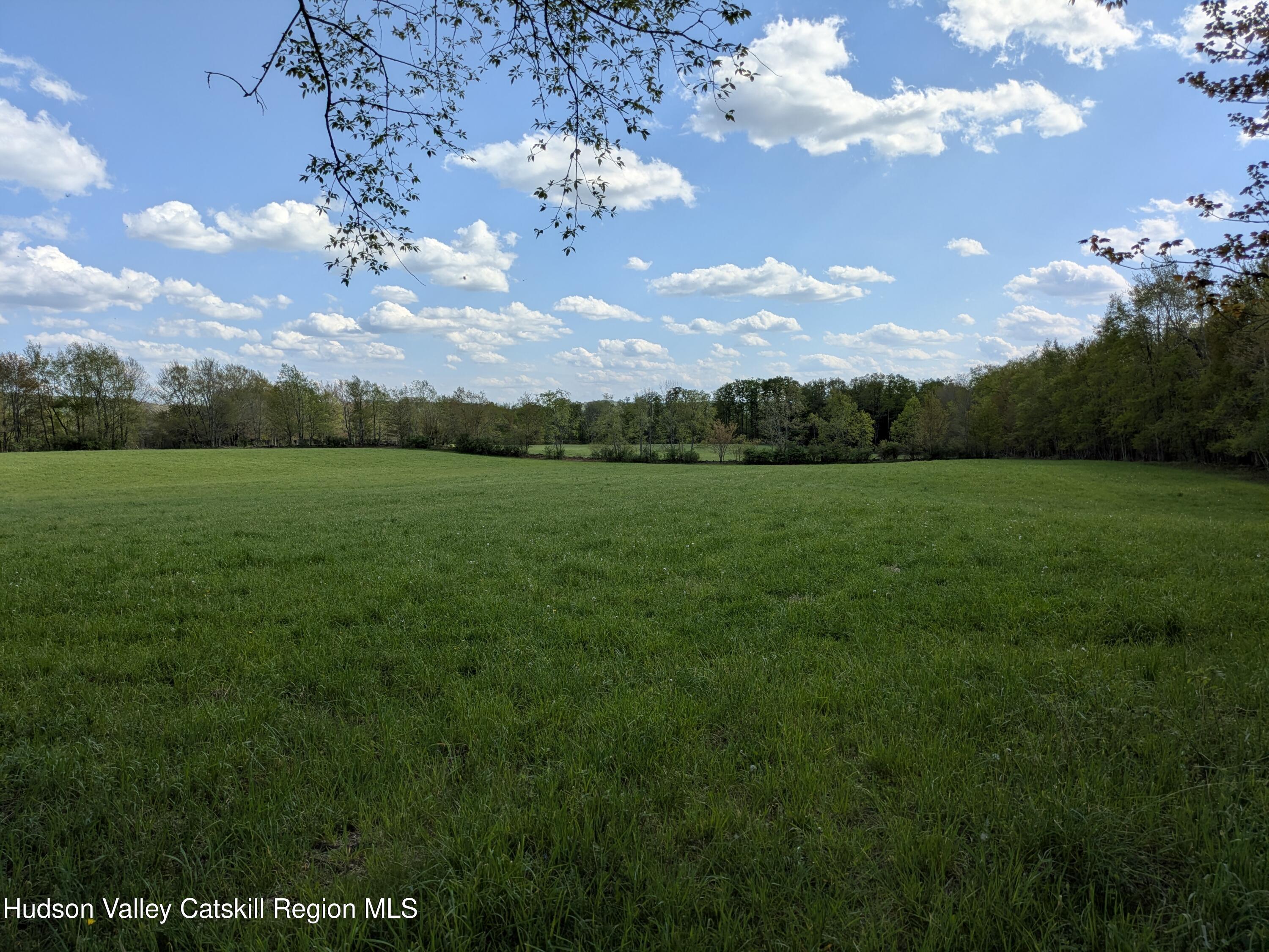 396 Austin Road Jefferson, NY 12093 - Photo 42 of 45 Copy of 44B Field 2