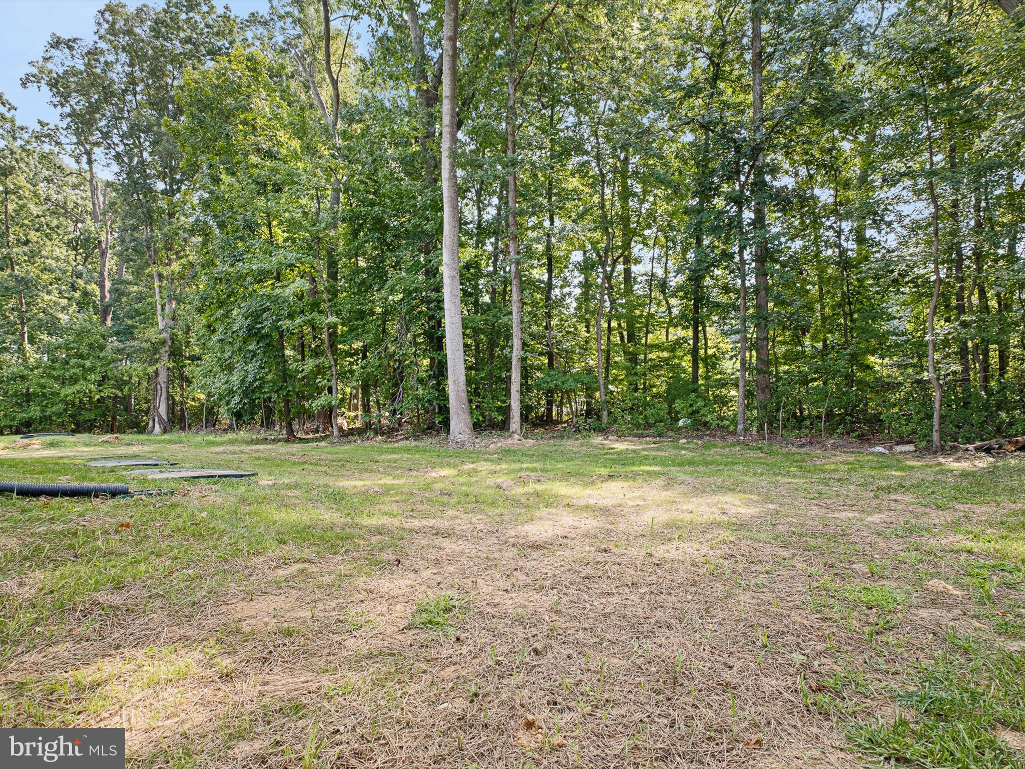 154 Pine Tree Road Townsend, DE 19734 - Photo 32 of 33 a view of a field with trees in the background