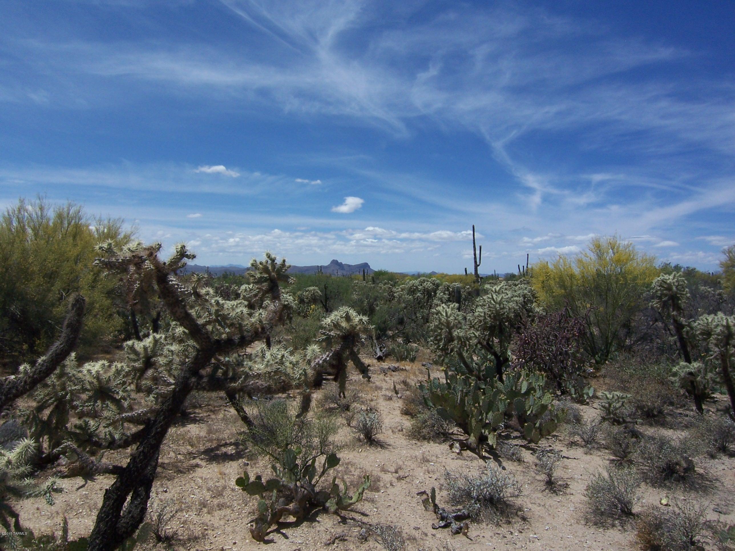 10700 North Thornydale Road Tucson, AZ 85742 - Photo 2 of 10