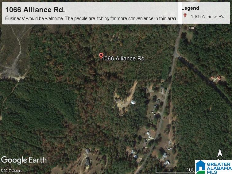 1066 Alliance Road, Unit ACREAGE Bessemer, AL 35023 - Photo 1 of 1