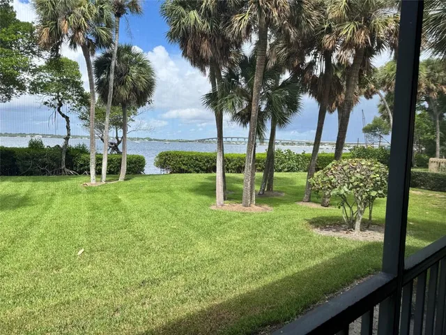 a view of a garden with a tree