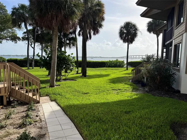 a view of a park with palm trees