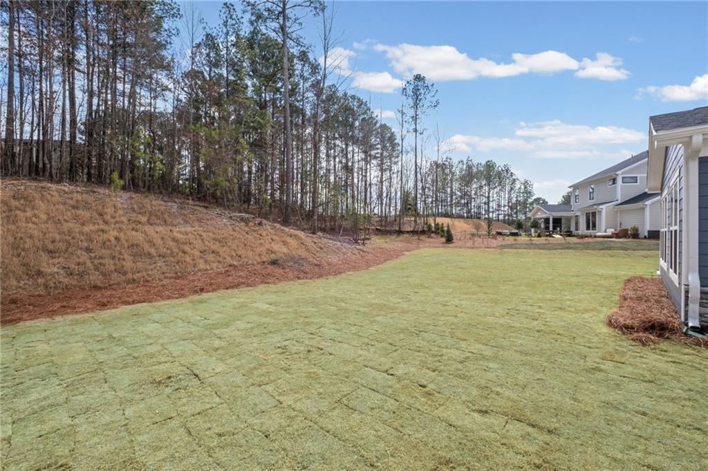 714 Conley Drive Canton, GA 30115 - Photo 42 of 51 a view of a yard with a fountain