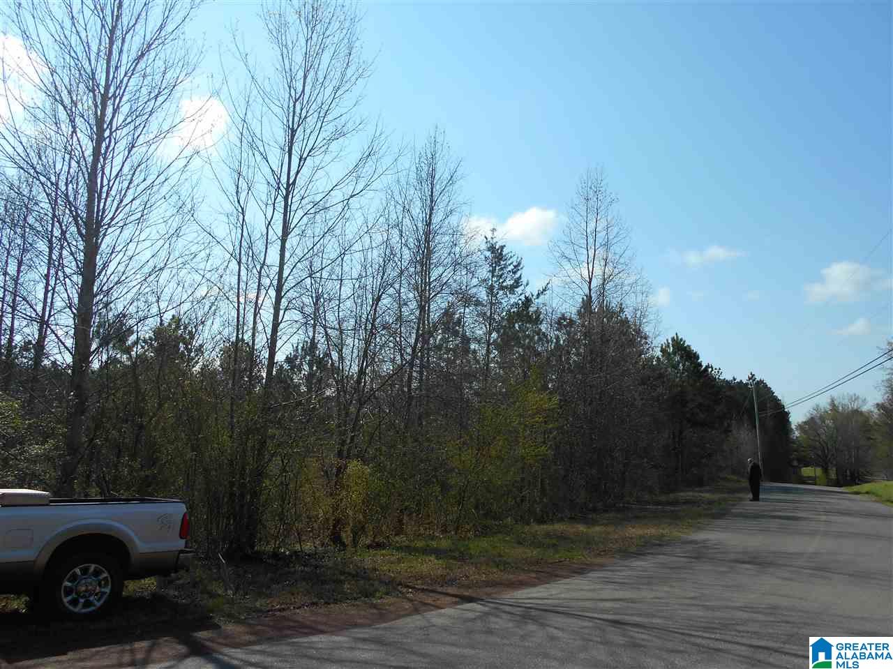 K D Byrd Station Road, Unit 30 Quinton, AL 35130 - Photo 2 of 5