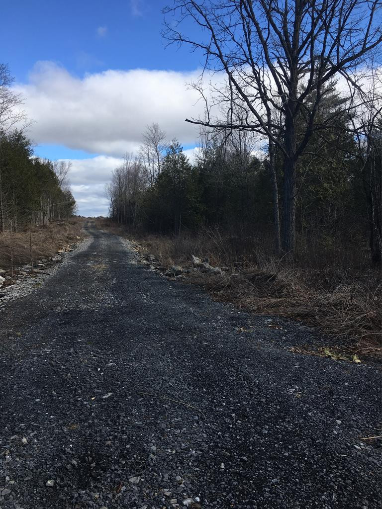 0 Patnode Road West Chazy, NY 12992 - Photo 1 of 2 Gallery Image 1