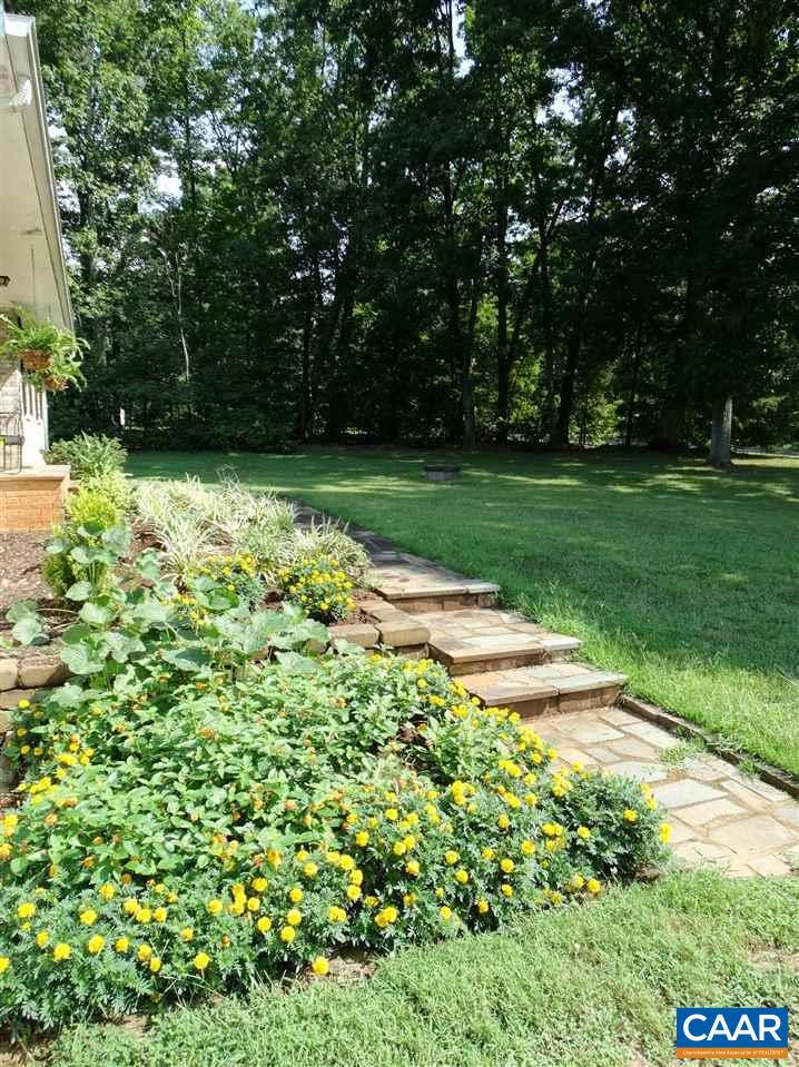 992 Advance Mills Road Ruckersville, VA 22968 - Photo 10 of 34 a view of backyard with green space