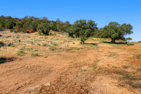 a view of a yard with trees